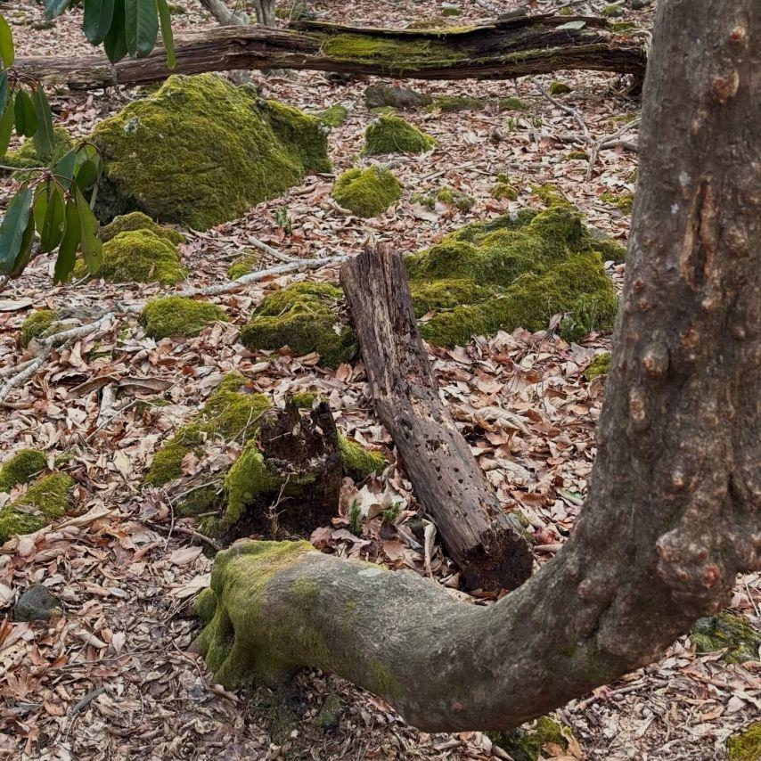 안젤리나 다닐로바 인별 한라산4