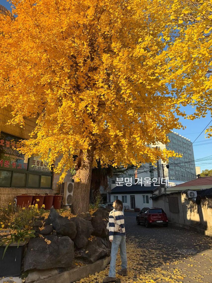 이주연 (전 애프터스쿨) SNS4