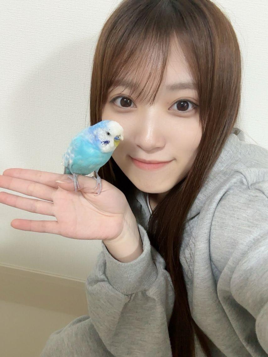 야부키 나코, 최예나4