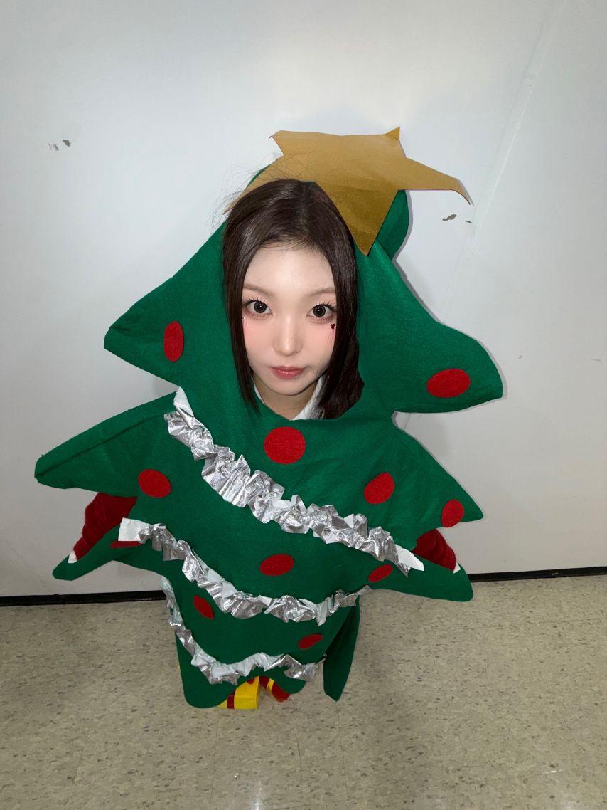 세이마이네임12