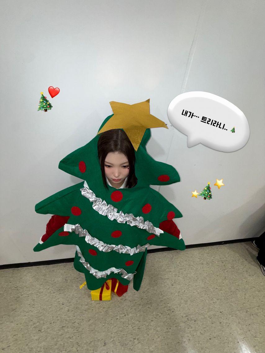 세이마이네임14