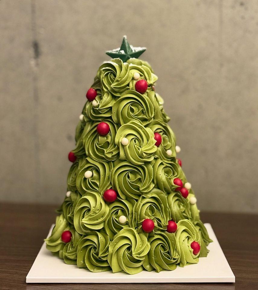 진달래 아나운서2