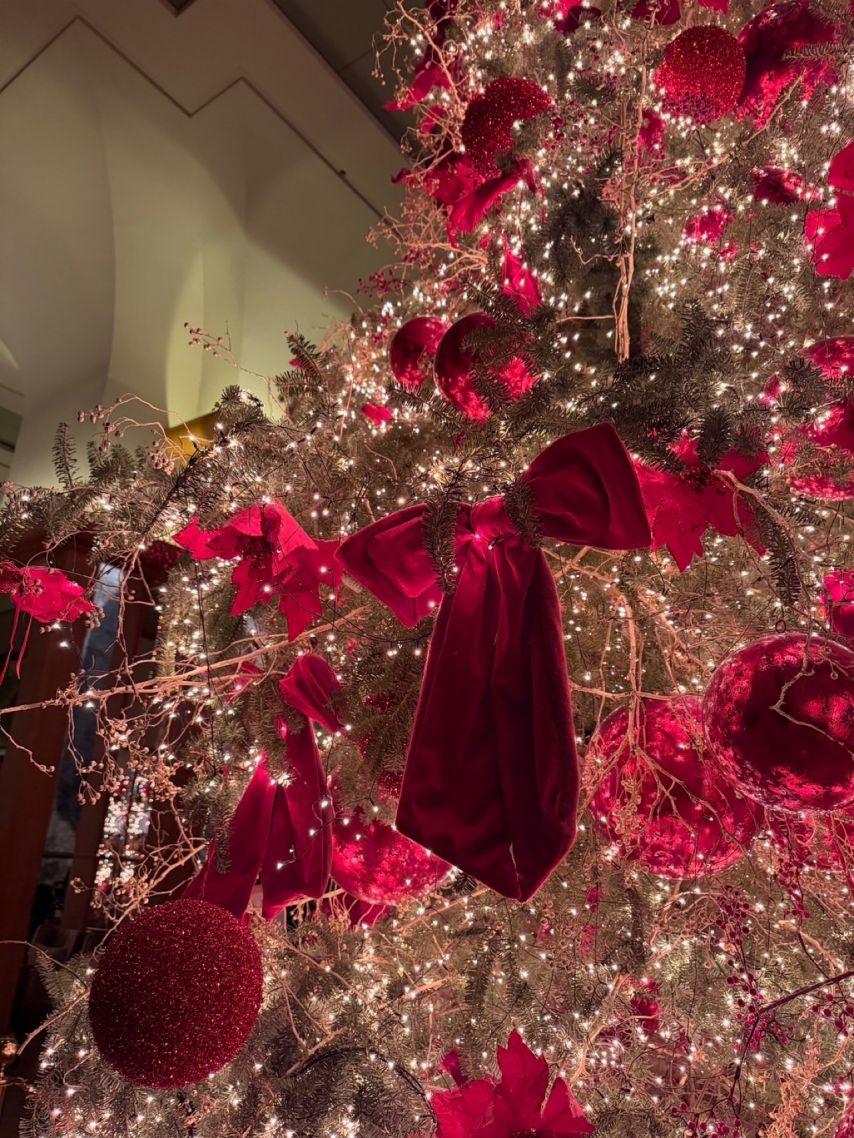 베이비돈크라이 쿠미, 이현5