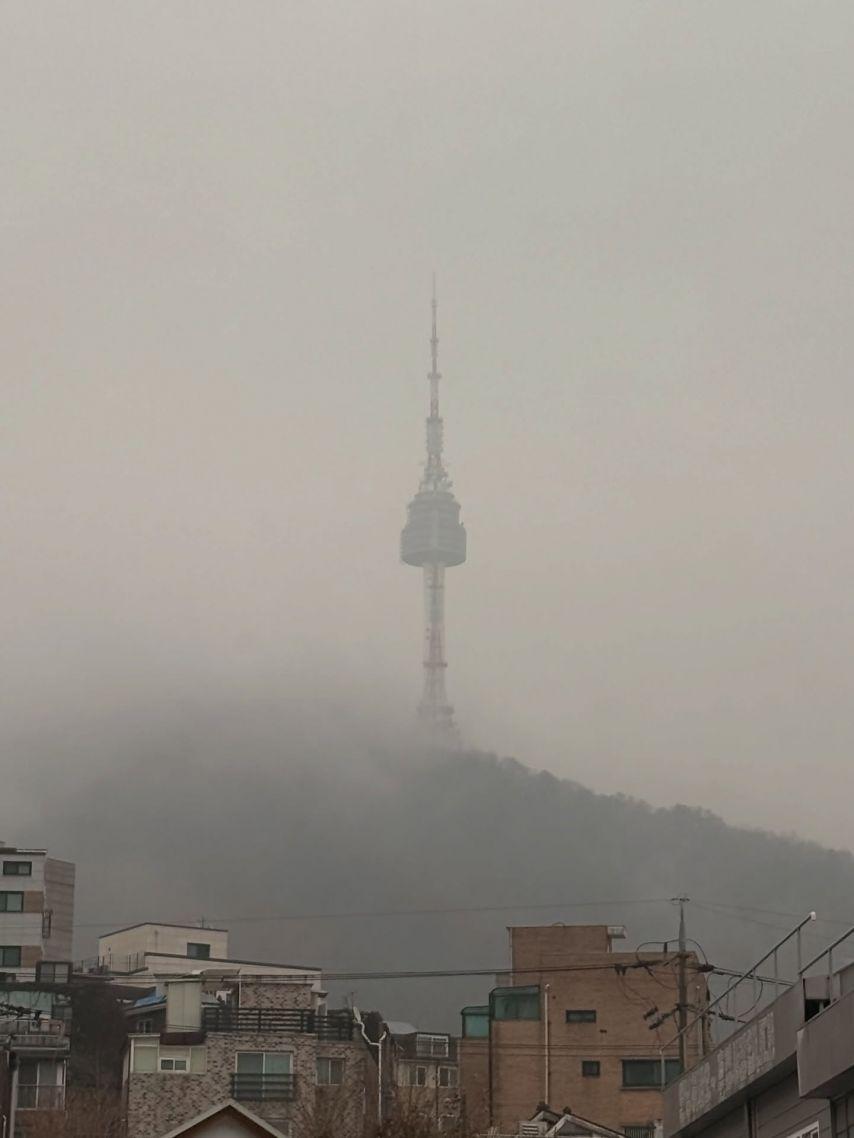 안젤리나 다닐로바3