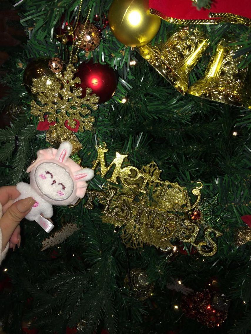 UNIS (유니스) 엘리시아4