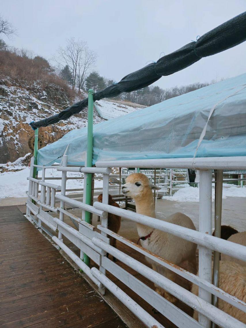 한수연 인스타12