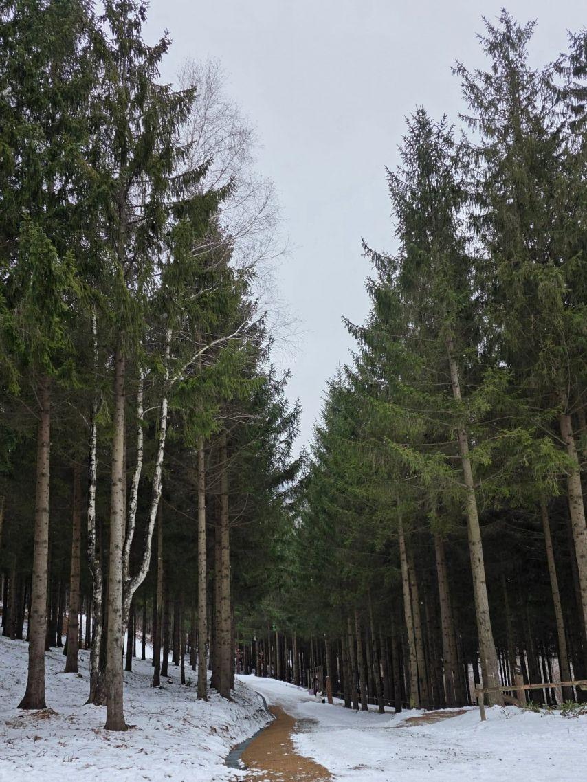 한수연 인스타13