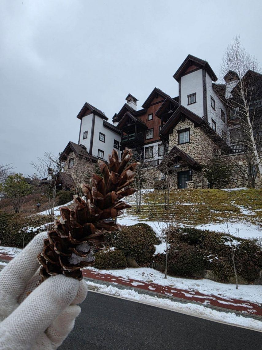 한수연 인스타2