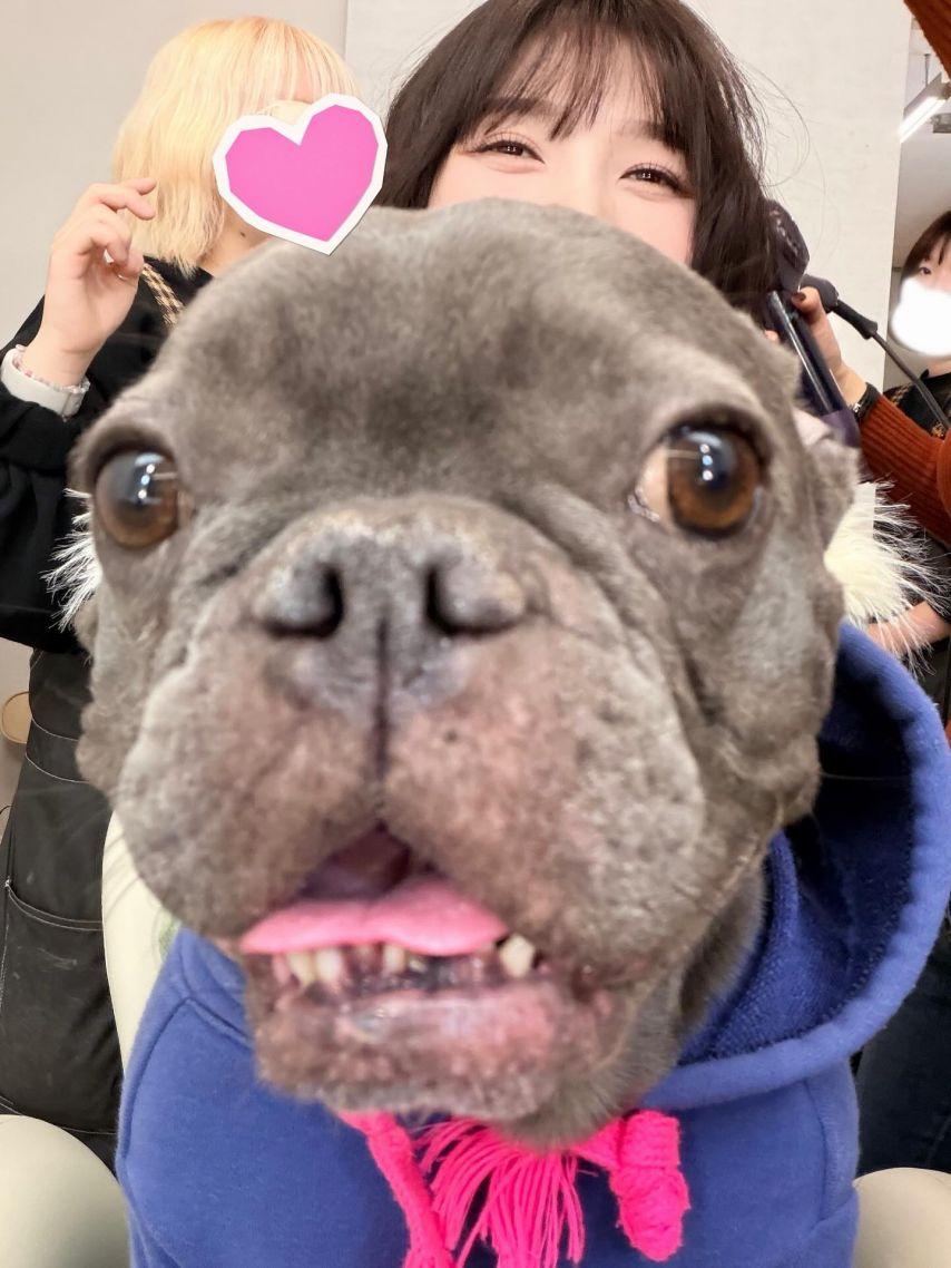 조이 레드벨벳 인별16