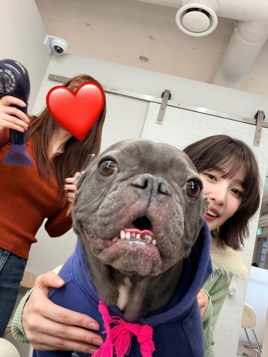 조이 레드벨벳 인별17