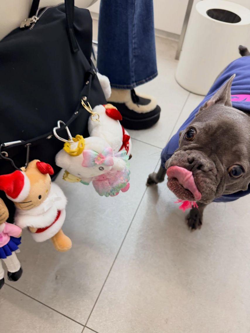 조이 레드벨벳 인별18