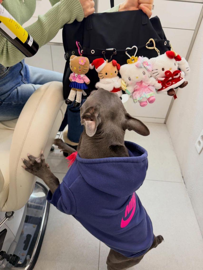 조이 레드벨벳 인별19