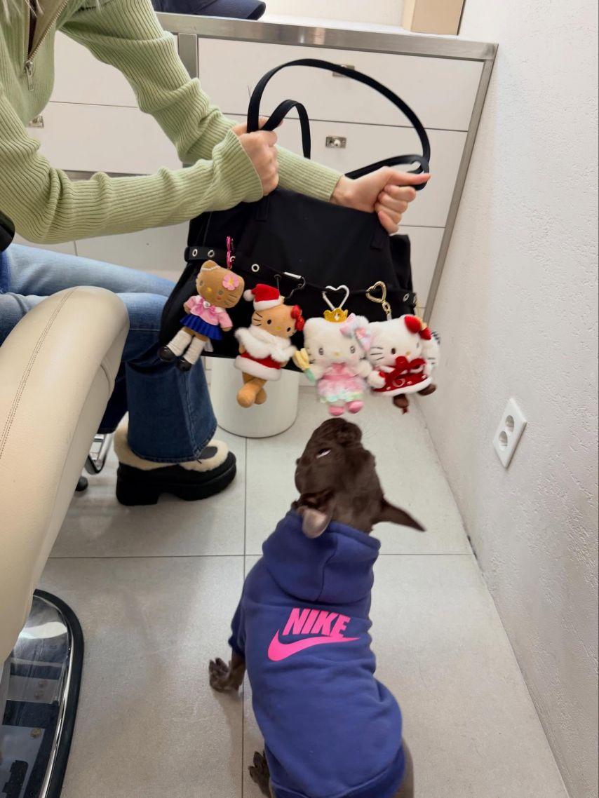 조이 레드벨벳 인별20