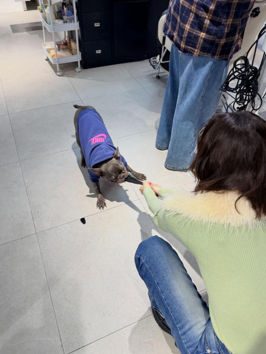 조이 레드벨벳 인별25