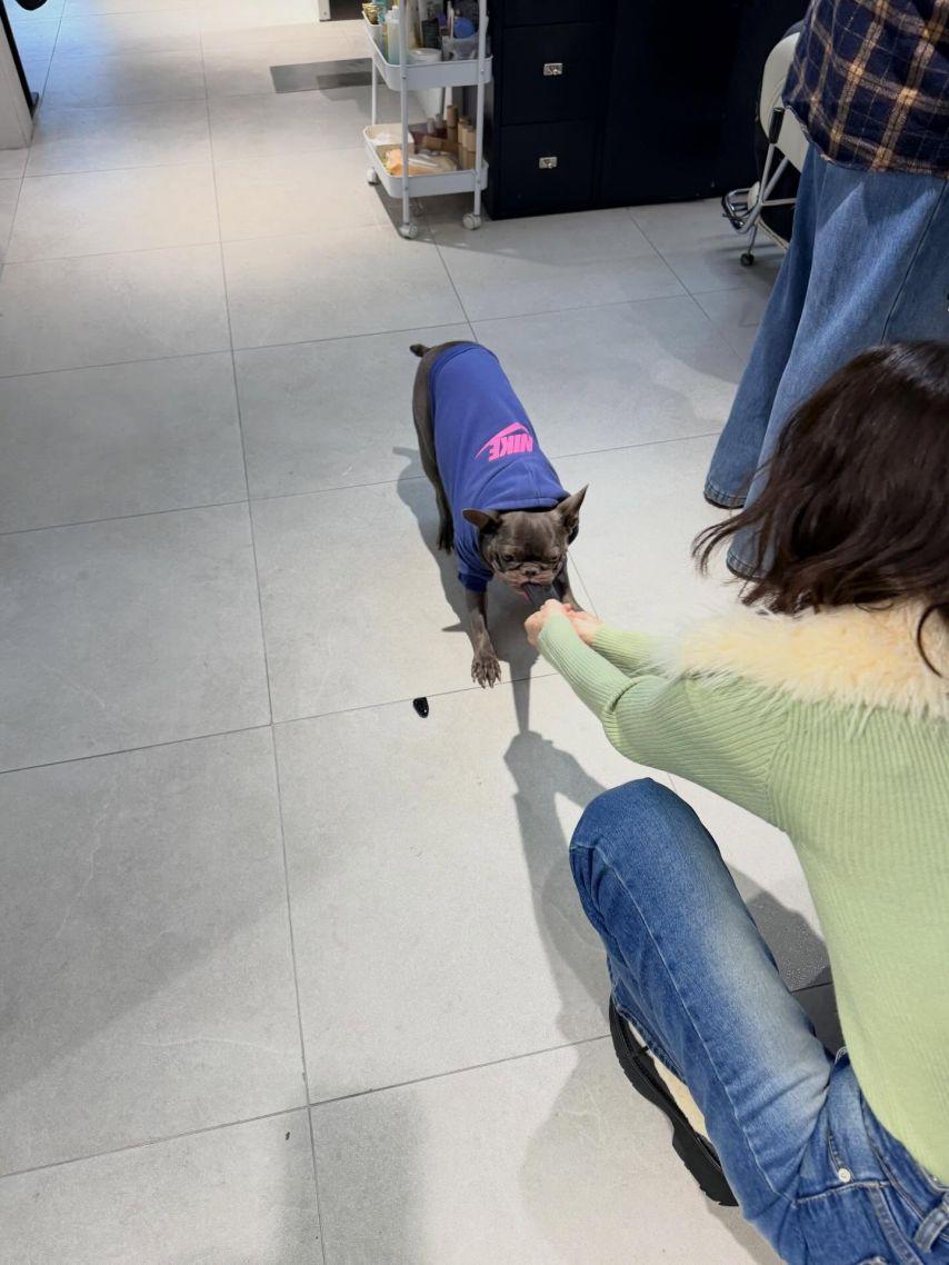 조이 레드벨벳 인별26