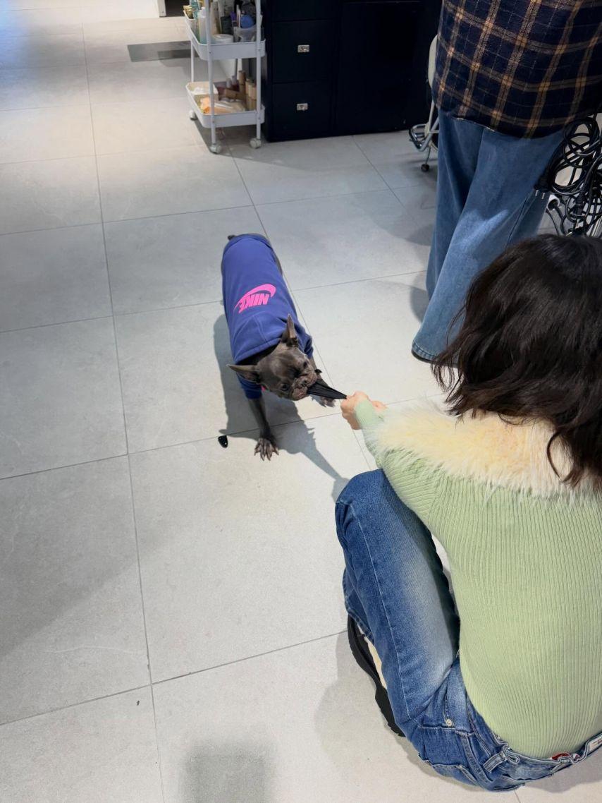 조이 레드벨벳 인별27