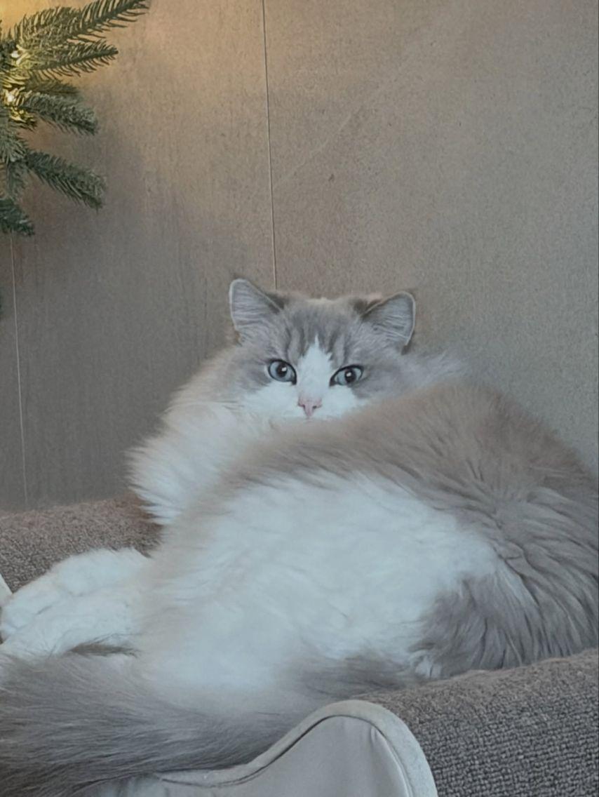 희진 ARTMS아르테미스 인별15