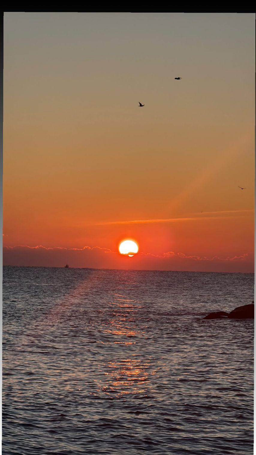 수빈 설아 은서 우주소녀 인별10