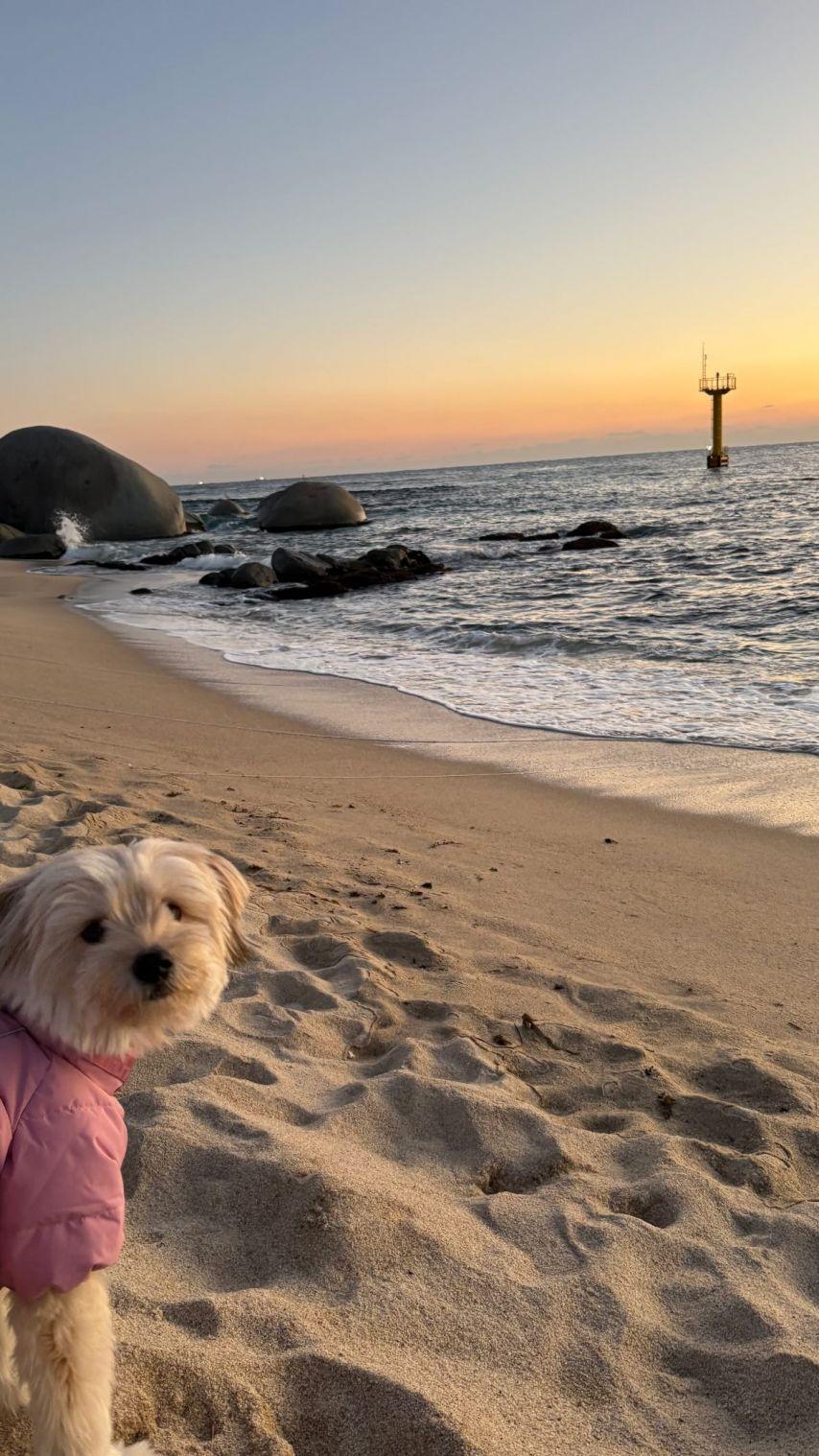 수빈 설아 은서 우주소녀 인별11