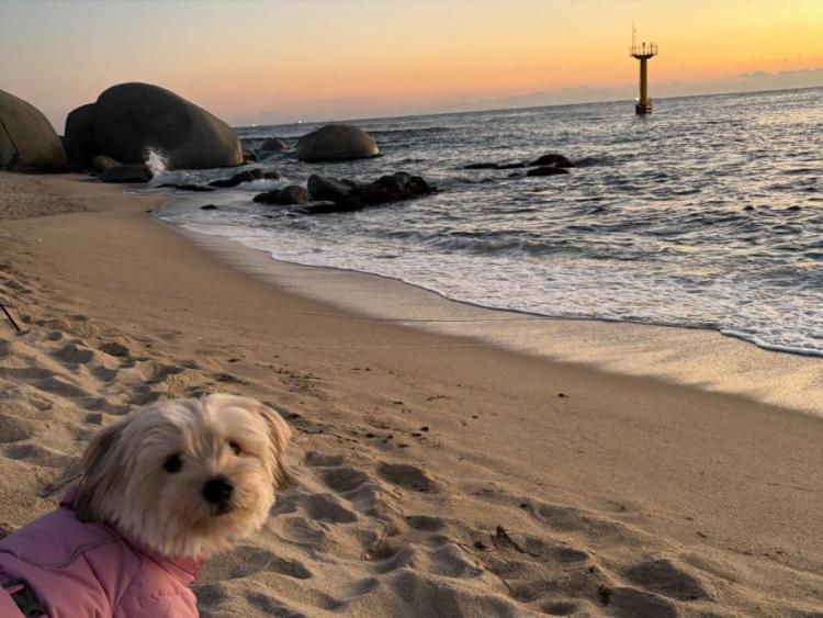 수빈 설아 은서 우주소녀 인별21