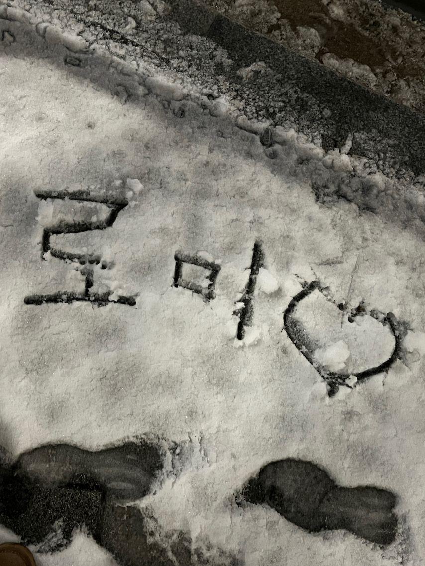 세이마이네임 메이20