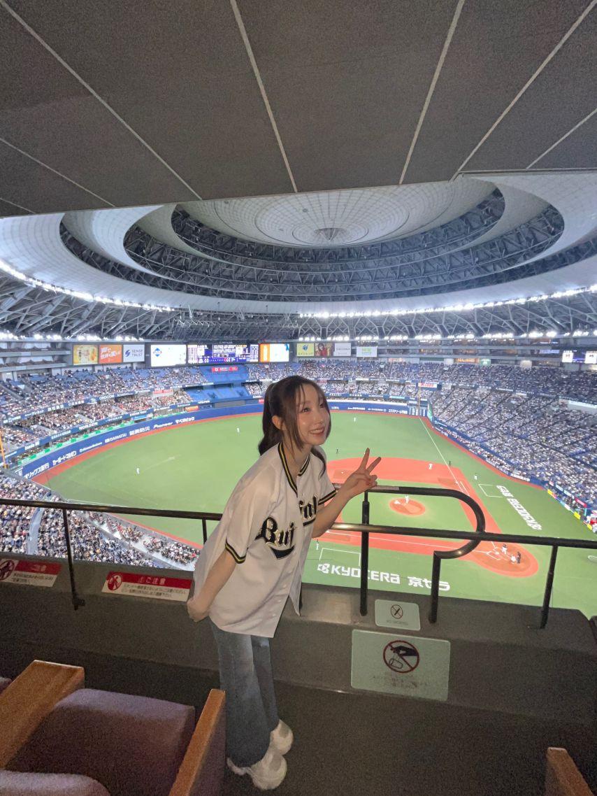 세이마이네임 메이8