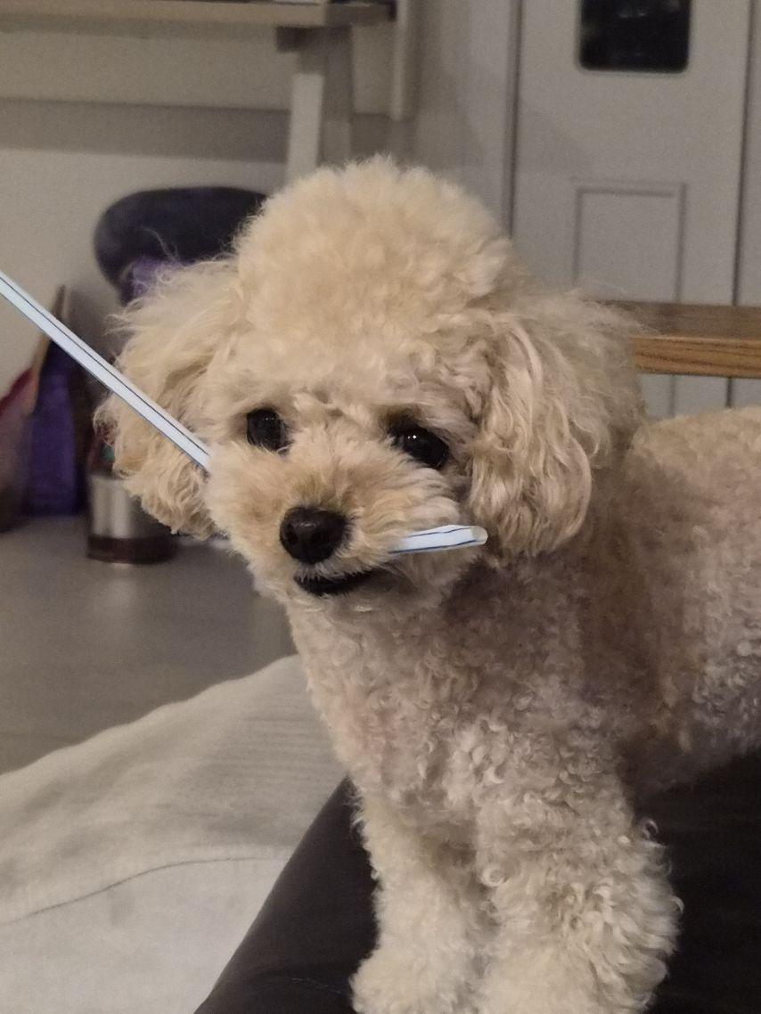 하츠투하츠 지우4