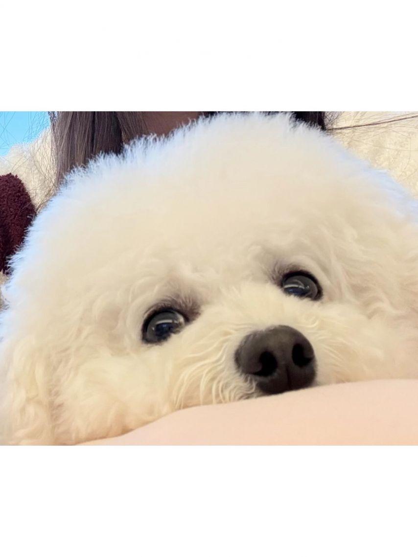 윤아/ 서현 소녀시대 인별7