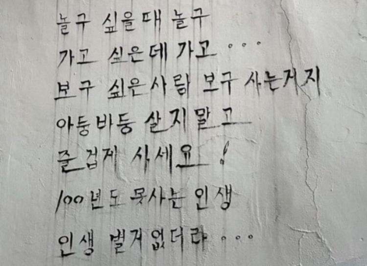 전세연 아나운서8