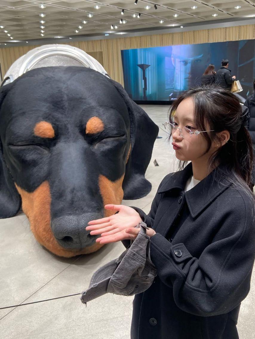 아이칠린 이지6