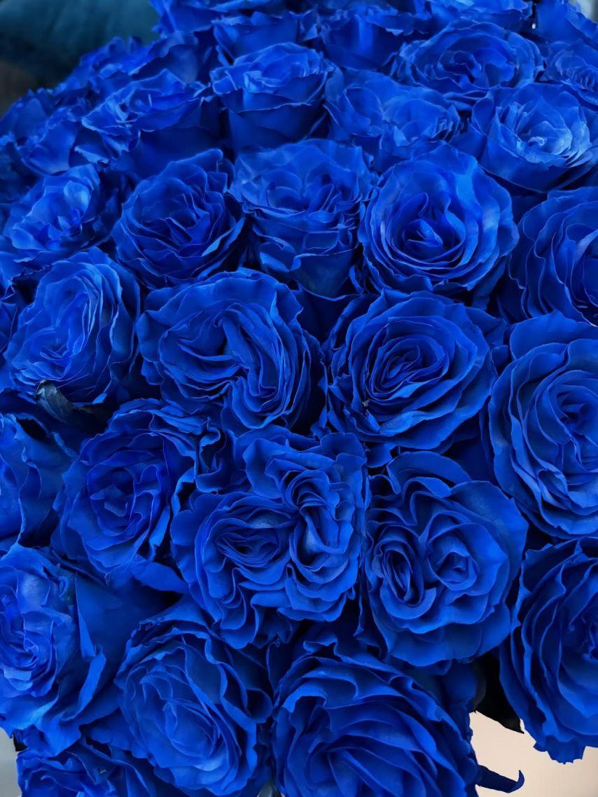 BLACKPINK (블랙핑크) 제니3