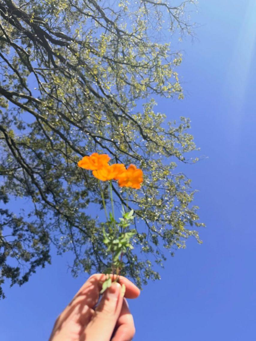 BLACKPINK (블랙핑크) 제니8