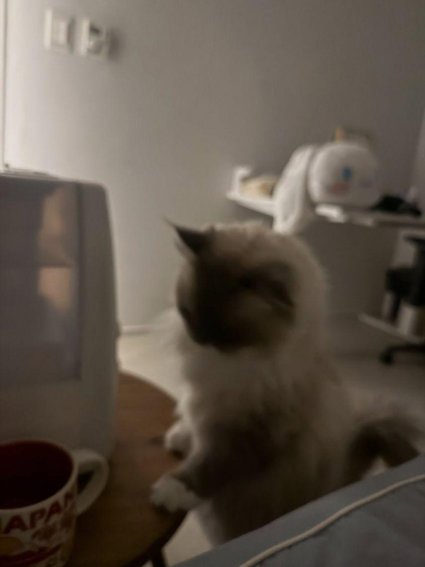 QWER 히나 인스타16