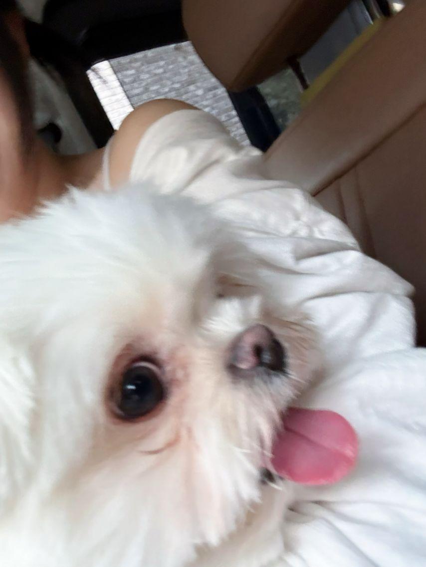 QWER 히나 인스타18