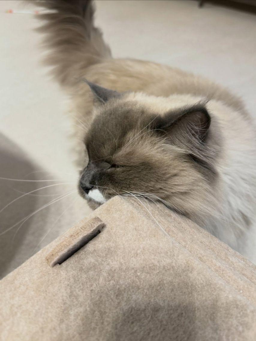 QWER 히나 인스타3