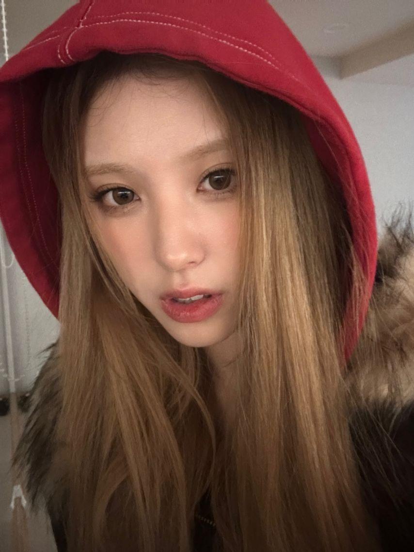 오드유스 마야2