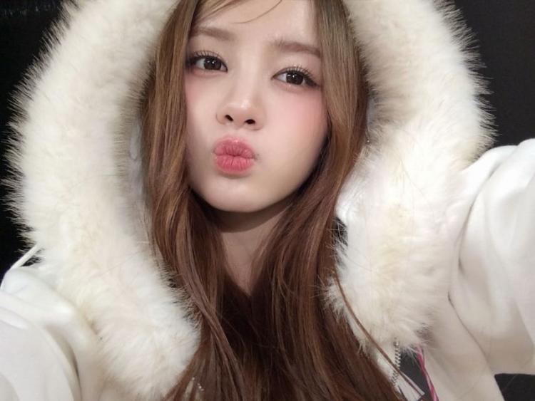 UNIS (유니스) 엘리시아2