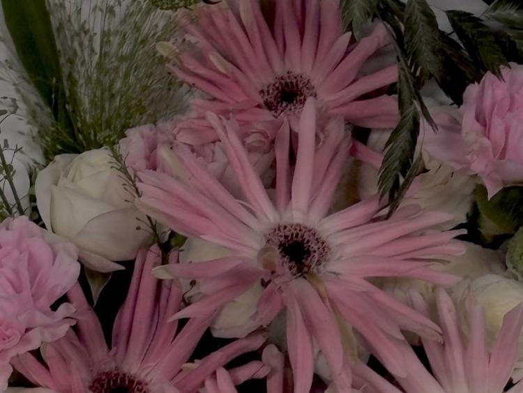 베이비몬스터 아사0