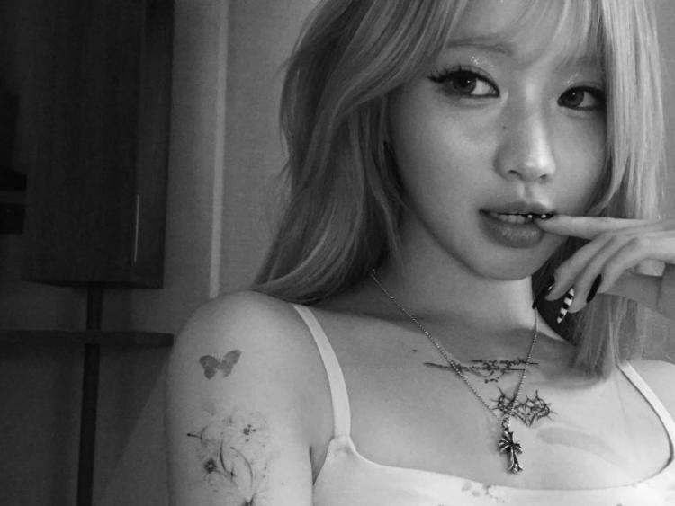 베이비몬스터 아사2