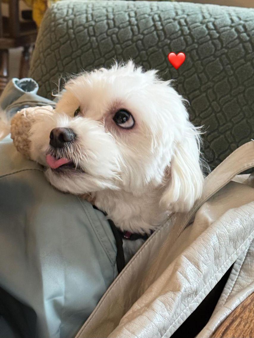 슬기 레드벨벳 인별15