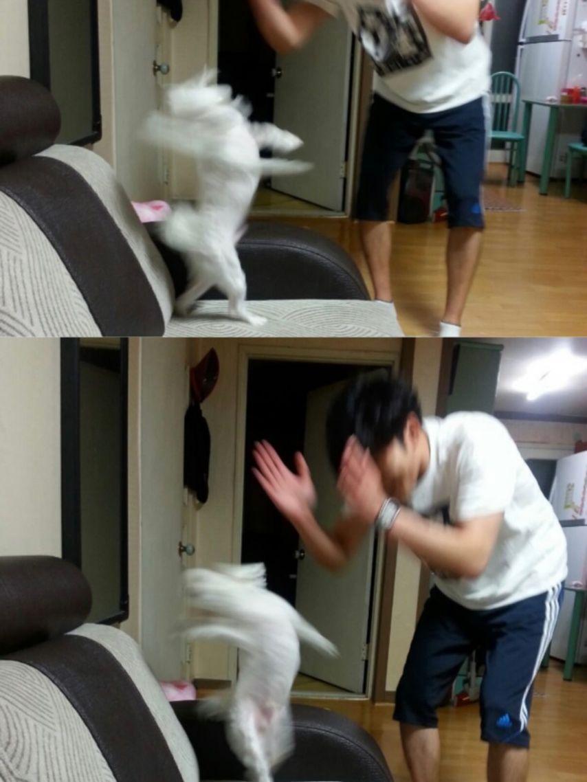 슬기 레드벨벳 인별16