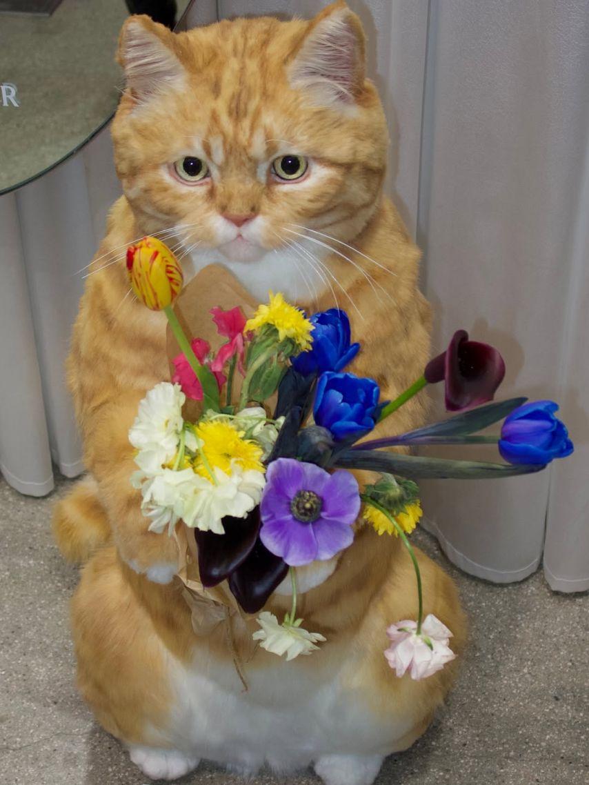 KARD (카드) 전소민3