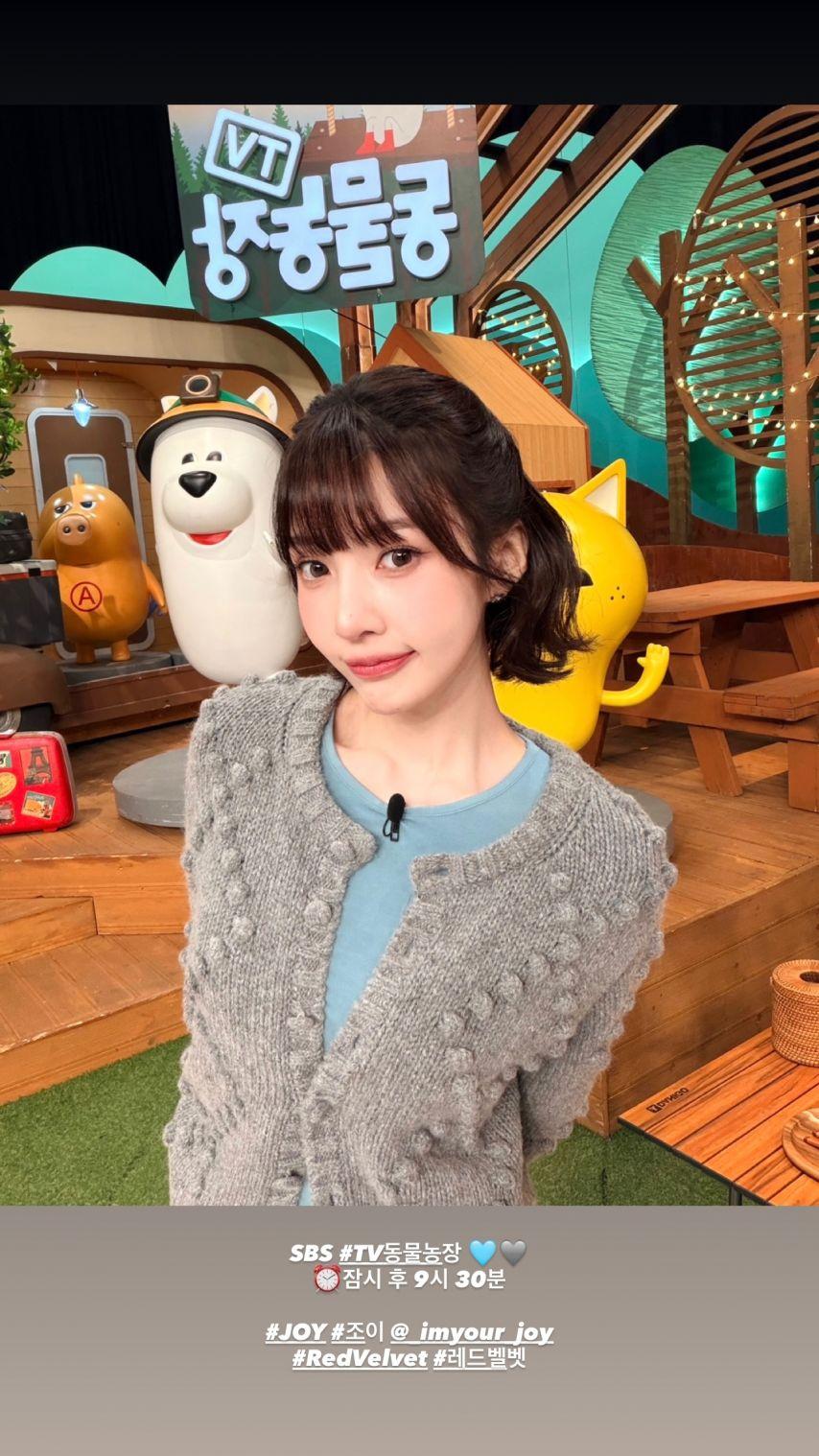 조이 레드벨벳 동물농장/ 김예림예리 인별1