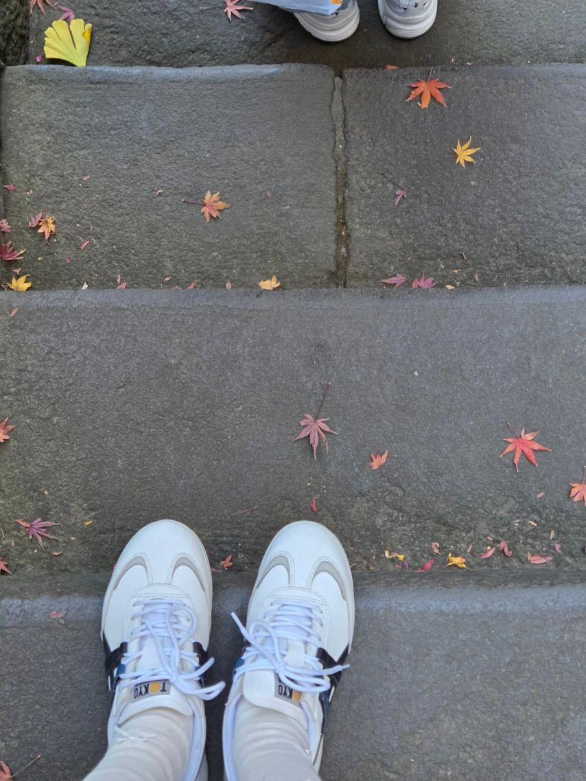 손은설 아나운서5