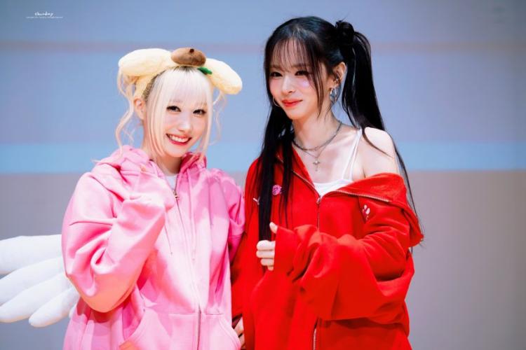 세이마이네임 메이8