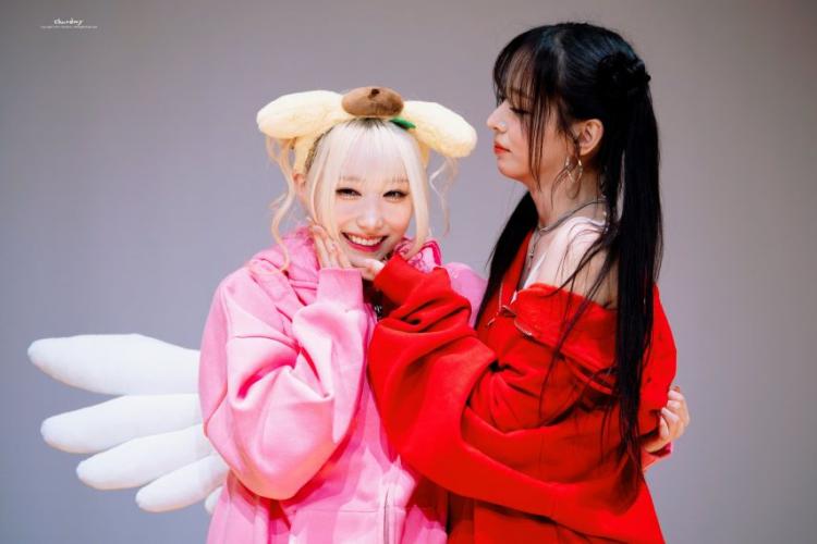 세이마이네임 메이9