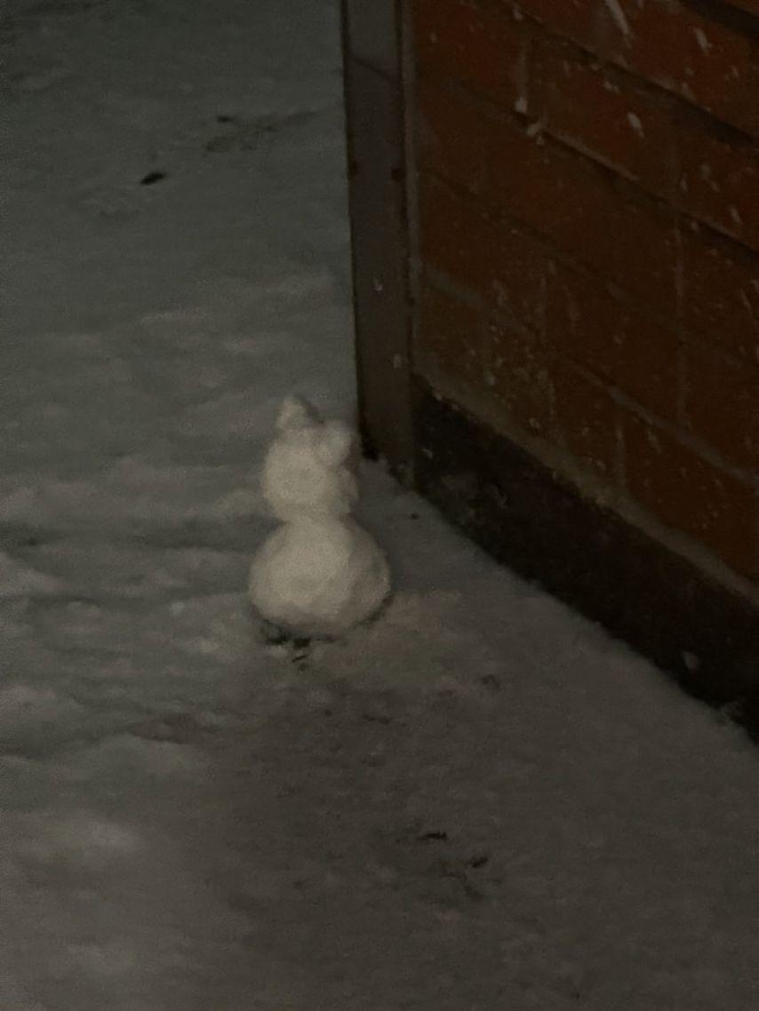 레이턴시 지원2