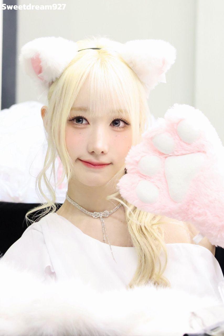 세이마이네임 메이0