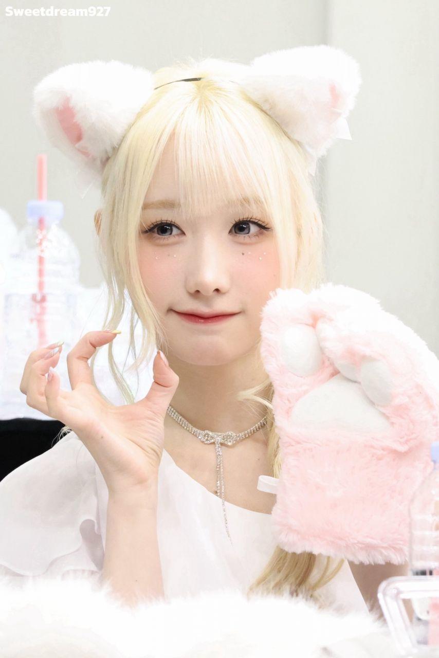 세이마이네임 메이1