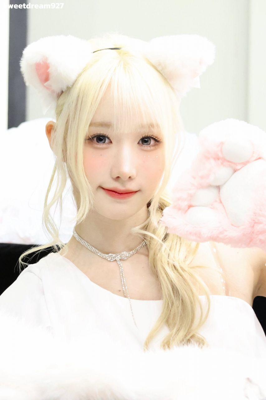 세이마이네임 메이4